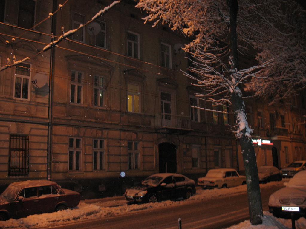 Ferienwohnung Flat On Sheptytskykh Lemberg Exterior foto